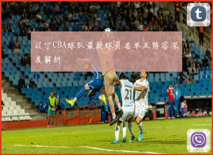 辽宁CBA球队最新球员名单及阵容深度解析