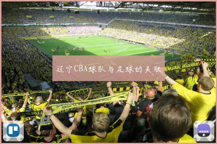 辽宁CBA球队与足球的关联