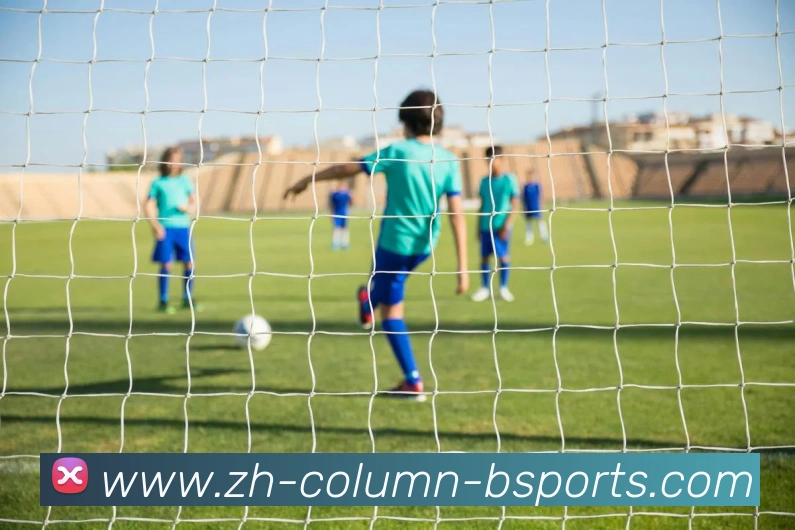 B体育平台生态图